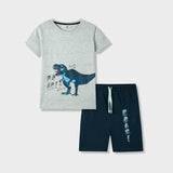 Cotton Jersey Summer Outfit Tracksuit